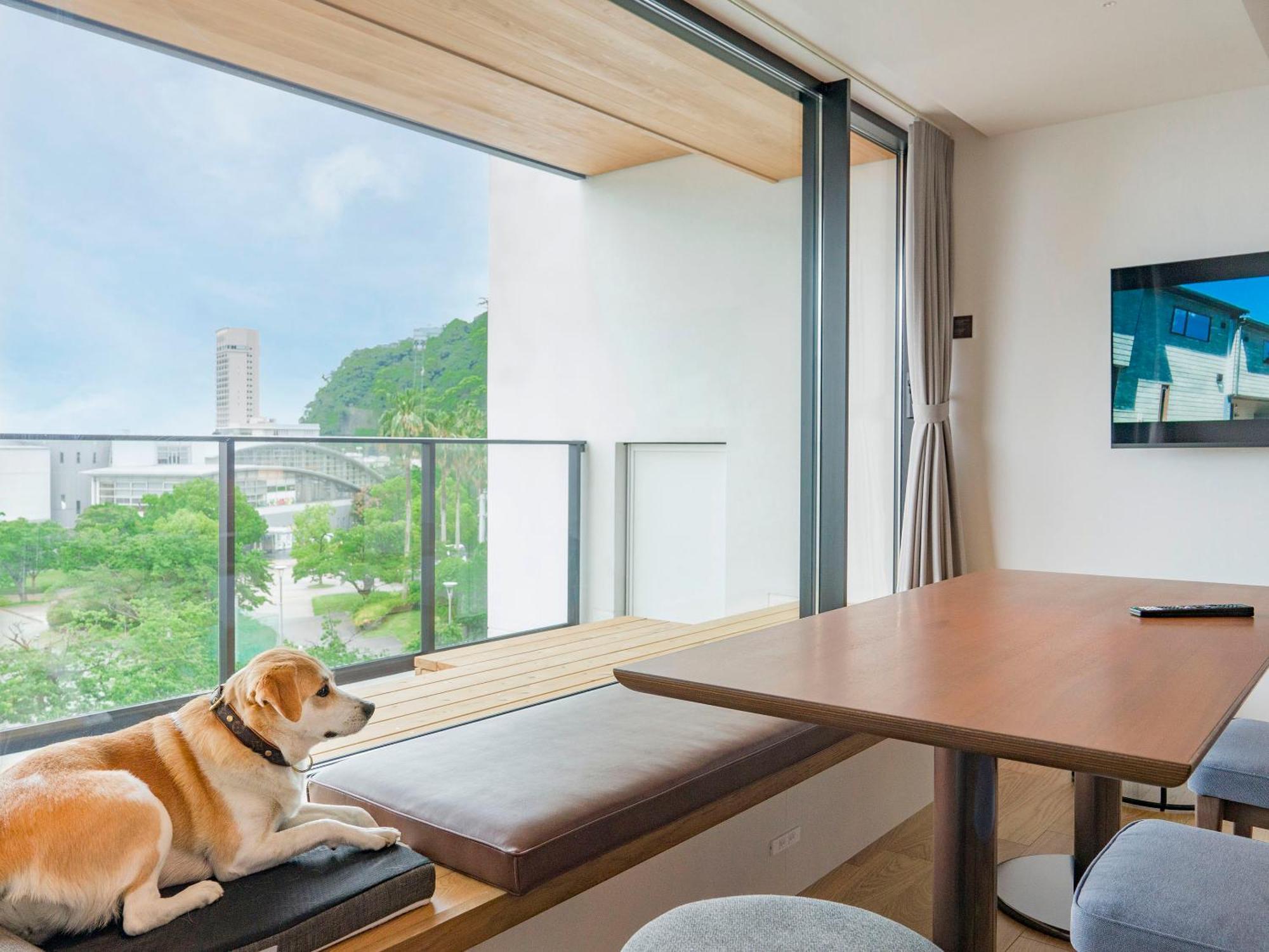 Rakuten Stay Atami Oda fotoğraf